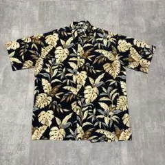 Item thumbnail for item 8de61050-7daa-476b-b713-e02d20e9bfb0