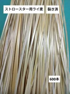 ライ麦ドイツストロースター用　裂き済20cm~32cm 約600本