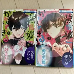 花とゆめ　コミック　2冊セット