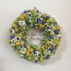 ドライフラワー リース ＊ 大きめ グリーン