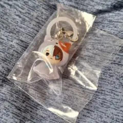 僕のヒーローアカデミア めじるしアクセサリー　轟 焦凍