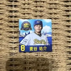 Item thumbnail for item 73caa7ca-8aa8-40db-83a8-e8ddef2561dd