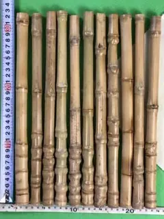 釣り具・その他グリップ用布袋竹「中太・芽取り済み」11本セット
