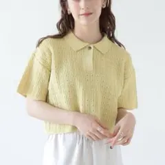 Ray BEAMS / ガラアミ クロップド ポロ ニット