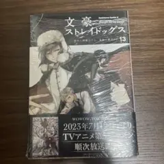 文豪ストレイドッグス　13