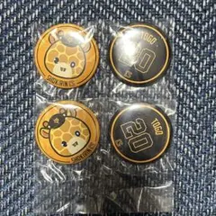 エニマイくじ ジャイアンツ ショウキリン