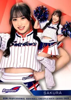 Item thumbnail for item 3fdb0676-0a44-4212-a90d-0d339fb6beae