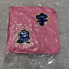 関取控え座布団　宇良