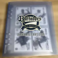オリックス・バファローズ トレーディングカード 2019 78枚+バインダー
