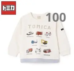 Item thumbnail for item 4063e618-0786-4379-87ca-ffa5671b7249