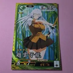 ️️趙雲子龍(真・一騎当千)⭕️ 英傑大戦