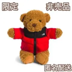 【値下げ❗】ノースフェイス　テディベア　ジャケット　キーリング　チャーム THE NORTH FACE（キーホルダー）のフリマアイテム一覧