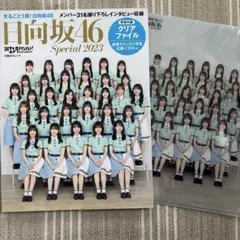日経エンタテインメント!日向坂46 Special 2023【両面クリアファイ…