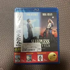めぐり逢えたら コレクターズ・エディション('93米)