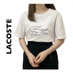 LACOSTE 半袖tシャツ カットソー ビッグロゴ