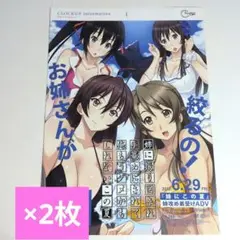 『姉にこの夏』ゲーム販促用チラシ　非売品　見開きタイプ