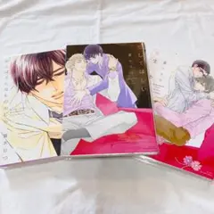 夏水りつ　3冊セット