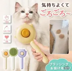 Item thumbnail for item f67828b8-d33a-4e8d-856f-12d28ab90ab1