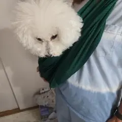 ダークグリーン メッシュ犬用スリングキャリー