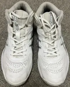 ASICS GELHOOP V15 スタンダード 29cm