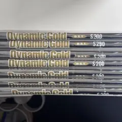 Dynamic Gold D.S.T S200 #4-PWセット