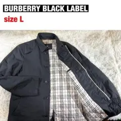 Item thumbnail for item 12fc0ca6-a7f6-4d99-8b10-38010237b7a9
