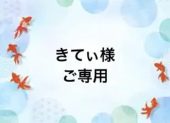きてぃ様ご専用