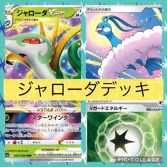 【匿名配送】ガチ構築 ジムバ注目デッキ ジャローダデッキ