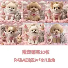 PARADISEパネル生地　 限定販売10枚　犬柄 猫柄 P84