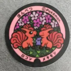 【匿名配送】【73-6】ロコン　メタモン　ほんべつ