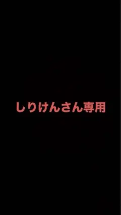 しりけんさん専用出品