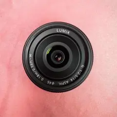 LUMIX レンズ H-H014