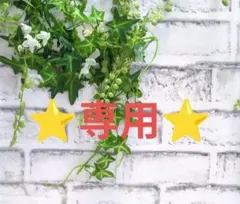 ロラライハリス❣️　⭐️専用⭐️ サイドポケット付きトート