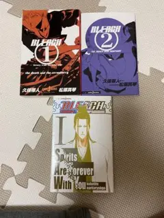 BLEACH 小説