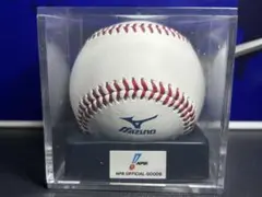 NPB 12球団 統一試合球　オーセンティックボール　ケース付　プロ野球　公認