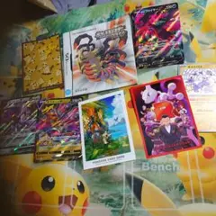 ニンテンドーDSソフトのポケットモンスタープラチナの説明書
