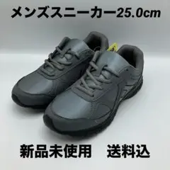 新品未使用　 メンズスニーカー　25.0cm グレー　送料込　軽量　【匿名配送】