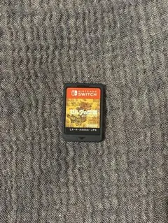 ゼルダの伝説　ブレス オブ ザ ワイルド　Nintendo Switch
