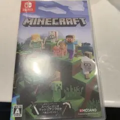 Minecraft Nintendo Switch版