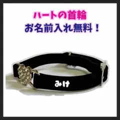 Item thumbnail for item 49cbdce7-c927-4cd2-bc6a-c365fd44e1f7