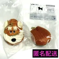 Maison terrier ミニチュアチャーム ガチャガチャ 2点セット