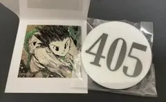 HUNTER×HUNTER ナンバープレート　ゴン