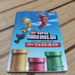 NewスーパーマリオブラザーズWii パーフェクトガイド
