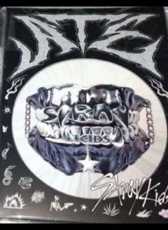 stray kids スキズ ATE CD　開封済　未再生　トレカ無し