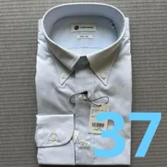 37 CAMICIANISTA ライトブルー ボタンダウンシャツ 定番品！