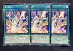 遊戯王 金科玉条 ノーパラ3枚
