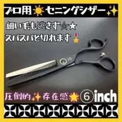 Item thumbnail for item 1e128d55-e892-453b-8285-d700509e0526