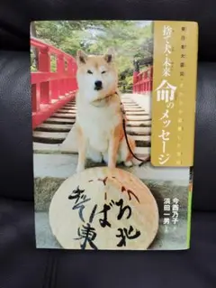 捨て犬・未来 命のメッセージ 東日本大震災・犬たちが避難した学校
