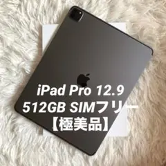 【完動品】iPad Pro 12.9 第5世代 512GB SIMフリー
