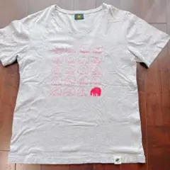 ハンティングワールド グレー Vネック Tシャツ